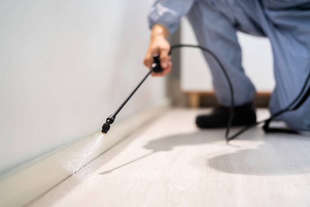Bed Bug Pre-Treatment Preparation Assessment in Howards Grove