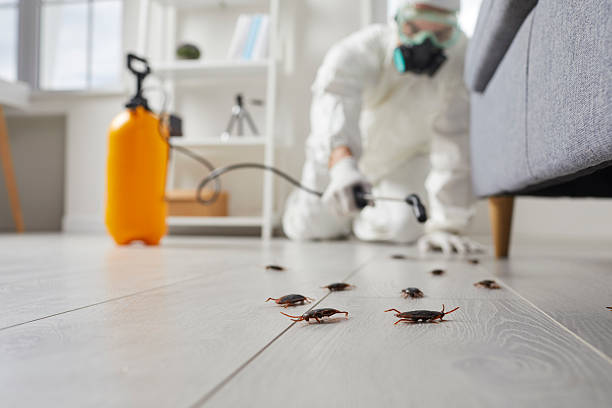 Post-Treatment Bed Bug Interceptor Monitoring in Howards Grove