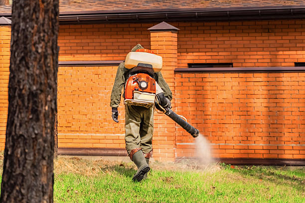 Bed Bug Clearance Verification and Documentation in Howards Grove